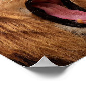 激しい獅子のポスター ポスター (角)