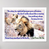 激しい獅子 ポスター (正面)