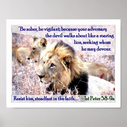 激しい獅子 ポスター (正面)