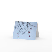 激しい花カード