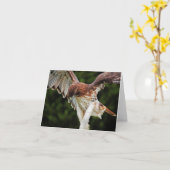 激しい赤によって後につかれるタカのメッセージカード カード (黄色い花)