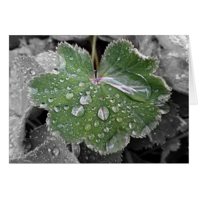 激しい雨 (正面横)