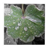 激しい雨 タイル (正面)