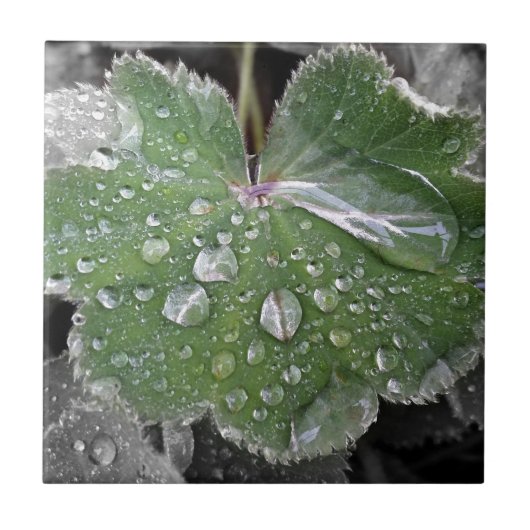 激しい雨 タイル (正面)