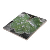 激しい雨 タイル (側面)