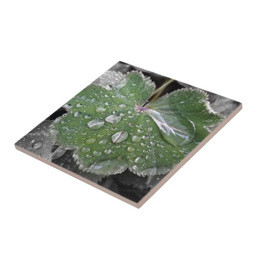 激しい雨 タイル (側面)