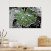 激しい雨 ポスター (キッチン)