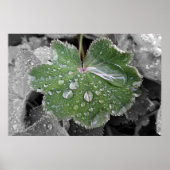 激しい雨 ポスター (正面)