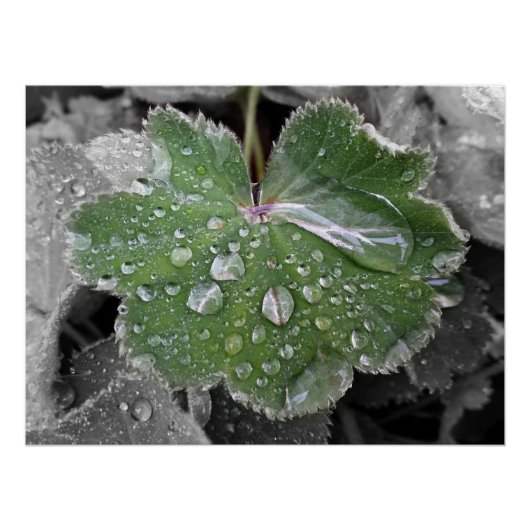 激しい雨 ポスター (正面)