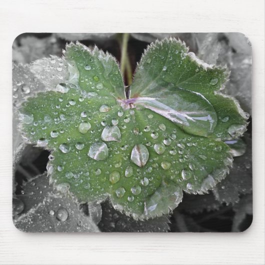 激しい雨 マウスパッド (正面)