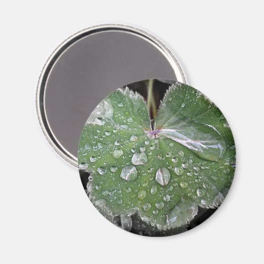 激しい雨 マグネット (正面/裏面)