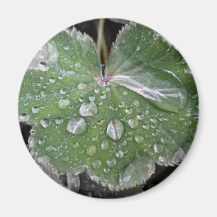 激しい雨 マグネット