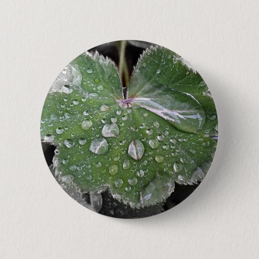 激しい雨 缶バッジ (正面)