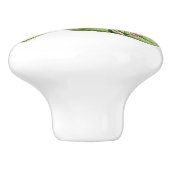 激しいThroatedハチドリ セラミックノブ (側面)