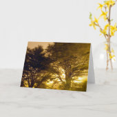 激怒の森林 カード (黄色い花)