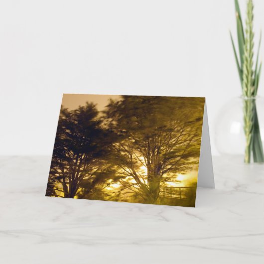 激怒の森林 カード (正面)