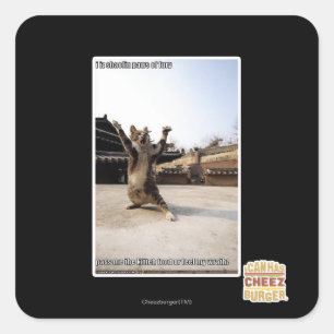 激怒のI izのshaolinの足 スクエアシール