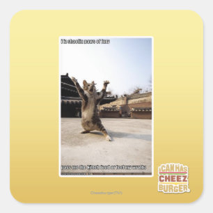 激怒のI izのshaolinの足 スクエアシール