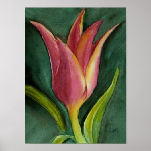 激怒チューリップ ポスター (正面)