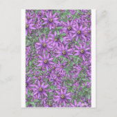 激情花 ポストカード (正面)