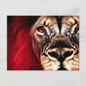 激素晴らししい荒野の雄ライオン ポストカード (正面)