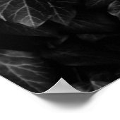 濃いツタの葉の植物の黒と白のショット ポスター (角)