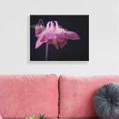 濃いピンクのオダマキ(植物)の花をクローズアップ キャンバスプリント (インサイチュ (リビング))