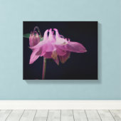 濃いピンクのオダマキ(植物)の花をクローズアップ キャンバスプリント (インサイチュ (ウッドフロア))