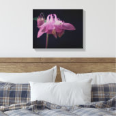 濃いピンクのオダマキ(植物)の花をクローズアップ キャンバスプリント (インサイチュ (寝室))