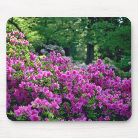 濃いピンクのツツジの花 マウスパッド (正面)