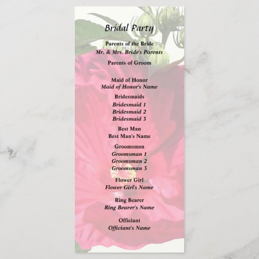 濃いピンクのハイビスカス プログラム (裏面)