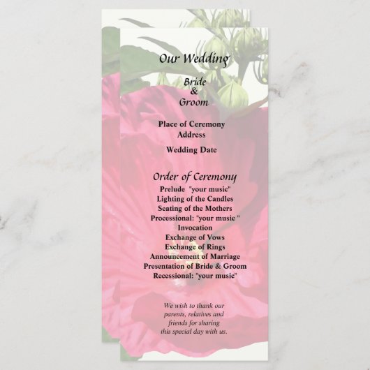 濃いピンクのハイビスカス プログラム (正面/裏面)