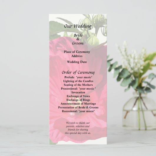 濃いピンクのハイビスカス プログラム (スタンド正面)