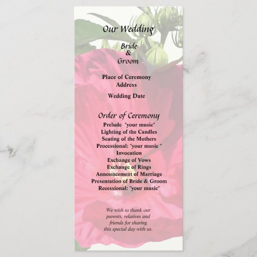 濃いピンクのハイビスカス プログラム (正面)