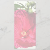 濃いピンクのハイビスカス メニュー (裏面)