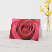 濃いピンクのローズ01 カード (黄色い花)
