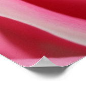 濃いピンクのローズ01 ポスター (角)