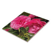 濃いピンクの椿の花 タイル (側面)