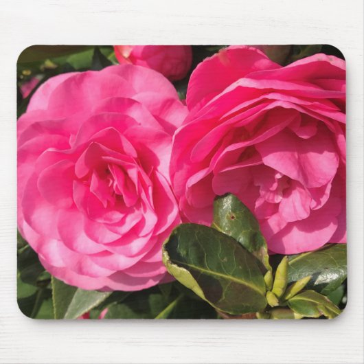 濃いピンクの椿の花 マウスパッド (正面)