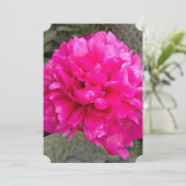 濃いピンクの牡丹の花空白のグリーティングカード (スタンド正面)