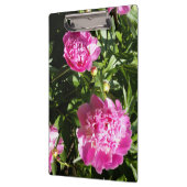 濃いピンクの牡丹 クリップボード (左)