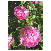 濃いピンクの牡丹 クリップボード (裏面)