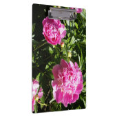 濃いピンクの牡丹 クリップボード (右)