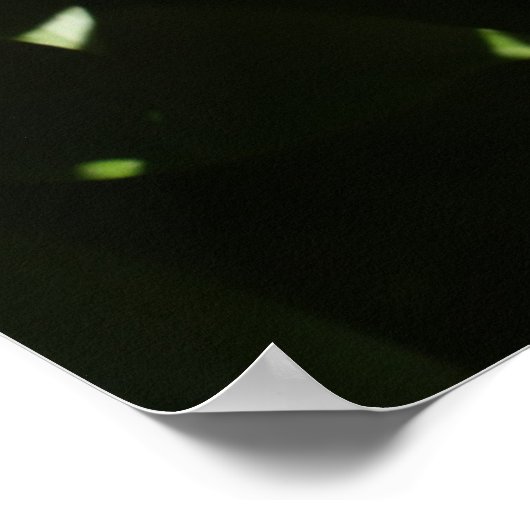 濃いピンクの牡丹 ポスター (角)