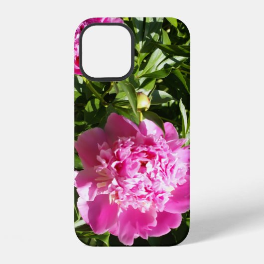 濃いピンクの牡丹 iPhoneケース (裏面)