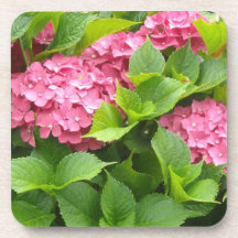 濃いピンクの紫陽花