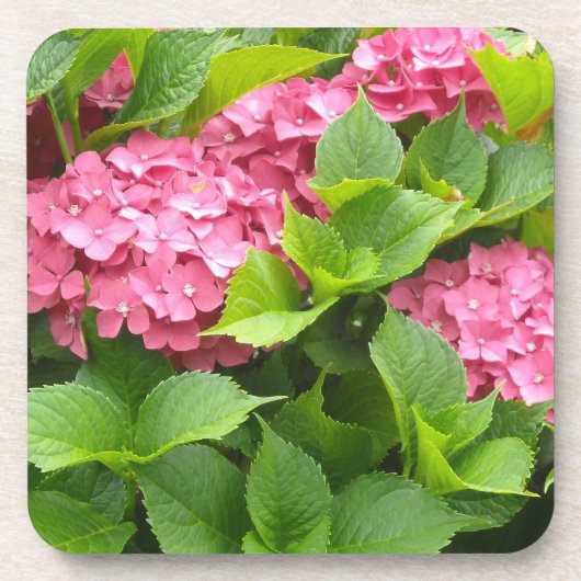 濃いピンクの紫陽花 コースター (正面)