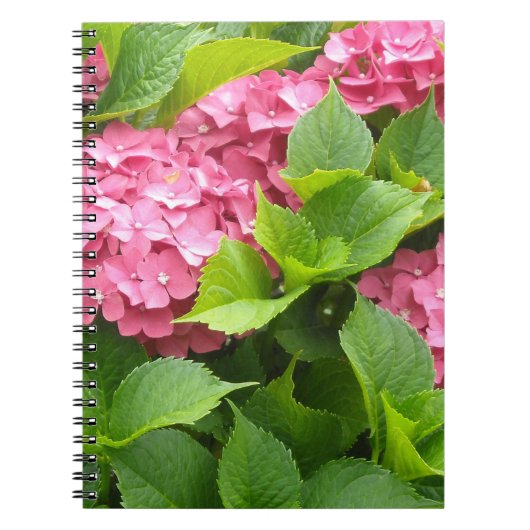 濃いピンクの紫陽花 ノートブック (正面)