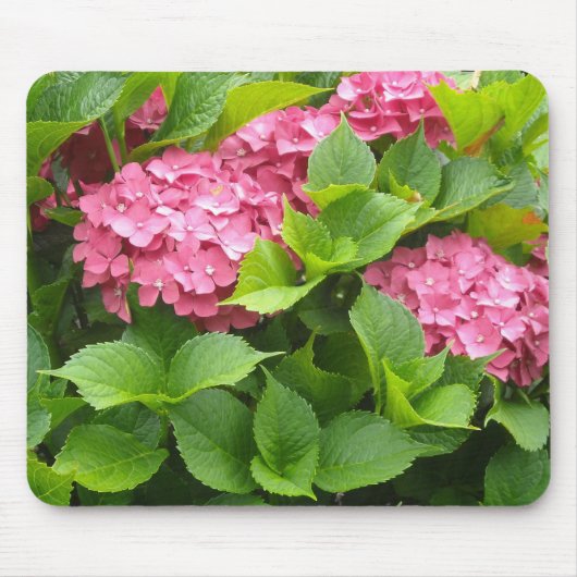 濃いピンクの紫陽花 マウスパッド (正面)