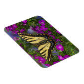 濃いピンク色の花を咲かせている子房の蝶 マグネット (右側)